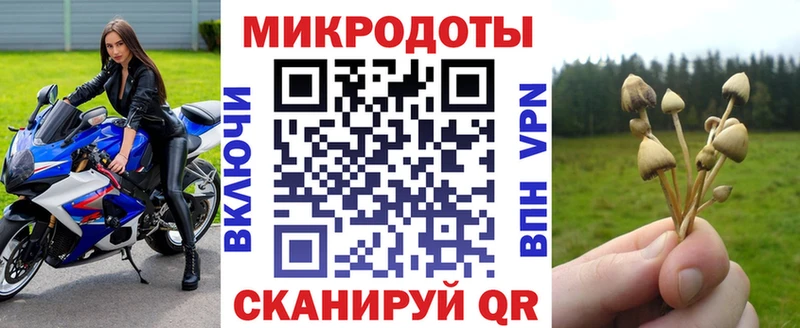 Купить  Надым  Галлюциногенные грибы Magic Shrooms 
